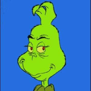 Meet your Posher, Zainab